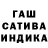 Конопля сатива Polina Medion