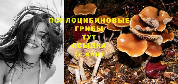 синтетический гашиш Сосновый Бор