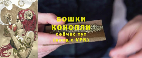 PSILOCYBIN Сосновка