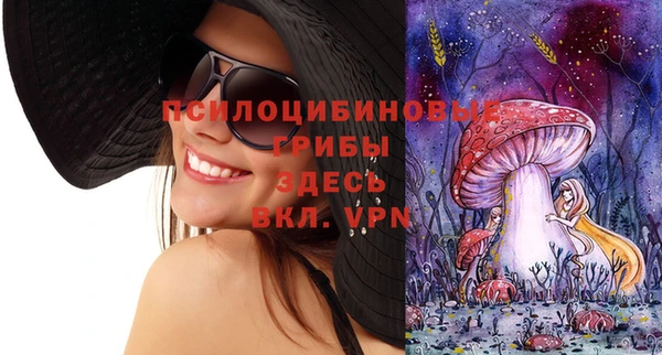 PSILOCYBIN Сосновка