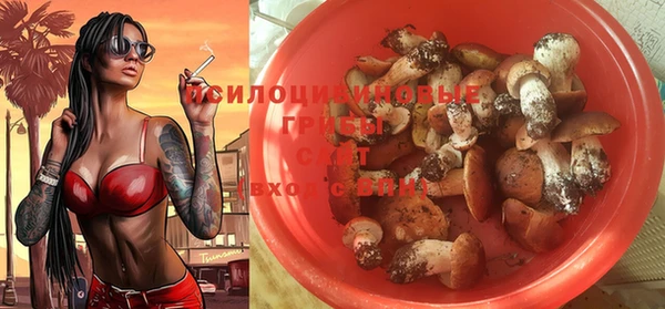 PSILOCYBIN Сосновка