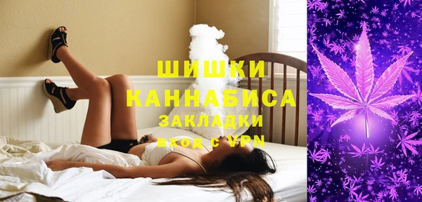 PSILOCYBIN Сосновка