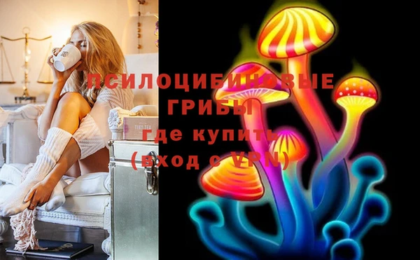 PSILOCYBIN Сосновка