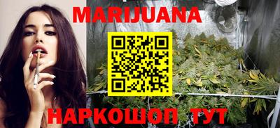 индика Гусиноозёрск
