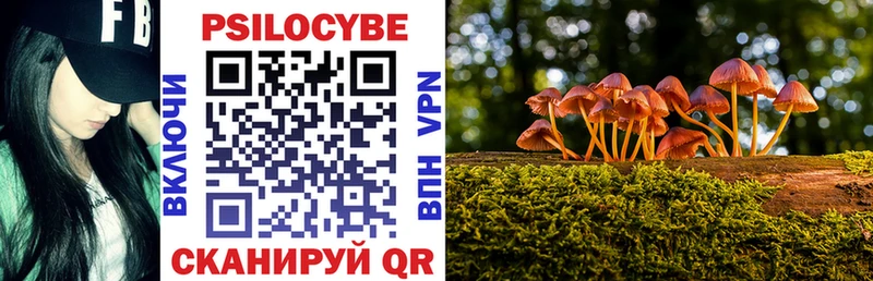 Псилоцибиновые грибы мухоморы  МЕГА ссылка  Камышин 