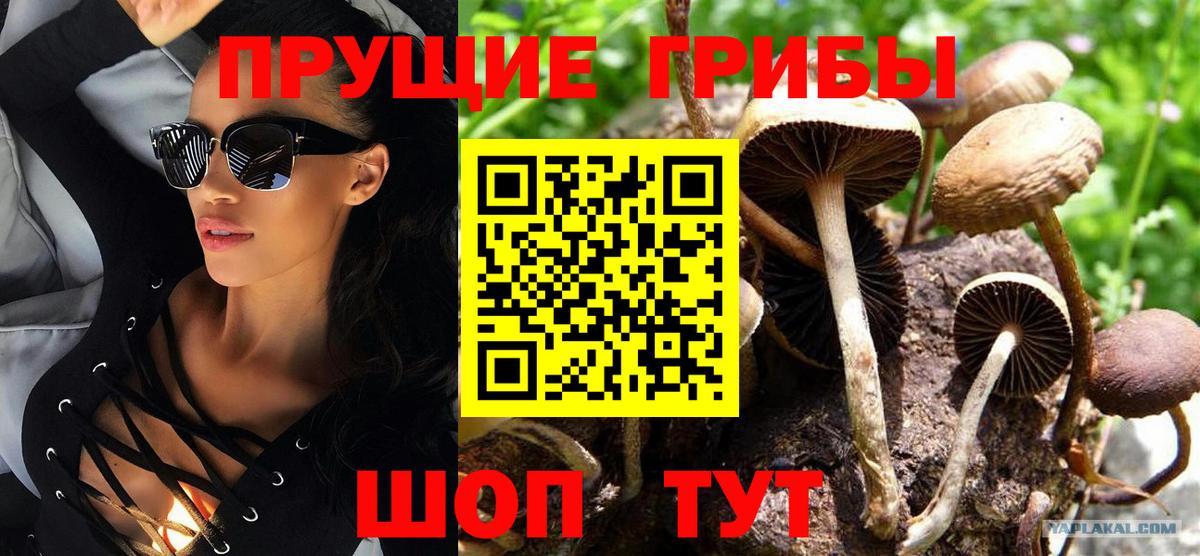 Камышин  Псилоцибиновые грибы Magic Shrooms  Галлюциногенные грибы мухоморы  Вход с VPN 