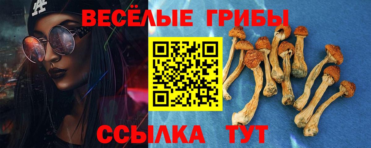 Псилоцибиновые грибы Cubensis Камышин